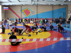 Панинские спортсмены завоевали 5 медалей на межрегиональном турнире