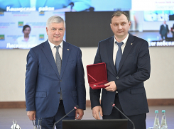 Главу Панинского района Андрея Кичигина наградили почётным знаком 
