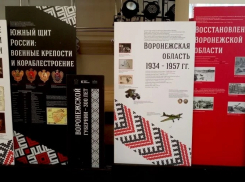 В Панино открылась передвижная выставка «Три века истории Воронежской губернии»