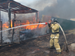 В Эртильском селе в пожаре погибли два человека