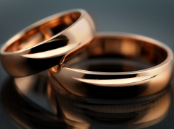 Перед Старым Новым годом в Воронежской области поженились 87 пар