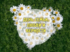 День семьи, любви и верности теперь государственный праздник России