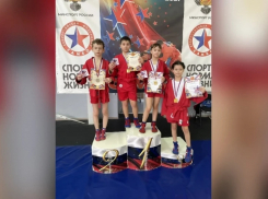 Таловские самбисты приняли участие в открытом первенстве в Нововоронеже