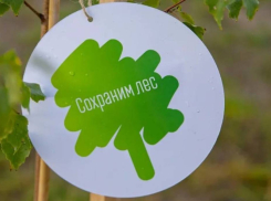 Воронежская область присоединится к осенней акции «Сохраним лес»