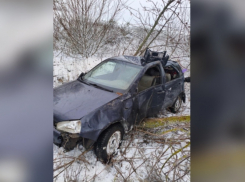 В Панинском районе «Лада Калина» вылетела в кювет и врезалась в дерево