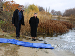 В Боброве выпустили 70 тыс мальков толстолобика в реку Битюг