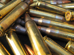 За неделю росгвардейцы Воронежской области изъяли 12 единиц оружия