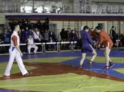 В Таловой состоится Всероссийский турнир по самбо