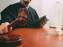 В Аннинском районе осудили владельца овчарки, напавшей на местного жителя