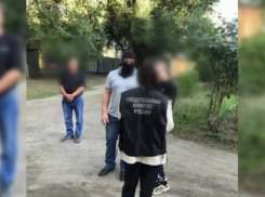 В Таловском районе за попытку сбыта наркотиков задержан 17-летний подросток