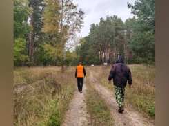 В Бобровском районе продолжаются поиски пенсионерки в окрестностях села Семено-Александровка