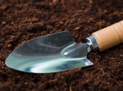 За год в Воронежской области выявили 73 нарушения при продаже пакетированных семян