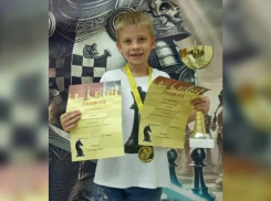 Школьник из Панинского района победил в областном первенстве по шахматам