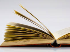 Жителям Воронежской области рассказали, какое слово стало главным в 2025 году