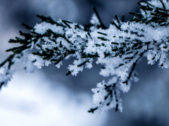 В Воронежской области объявили штормовое предупреждение из-за аномальных морозов