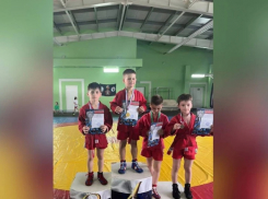 Таловские самбисты завоевали 6 медалей на областных соревнованиях