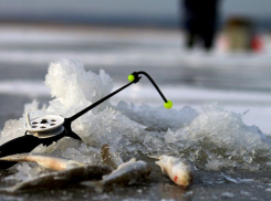 Жителей Эртильского района приглашают на турнир по рыбалке