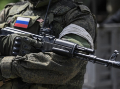 Александр Гусев дал указание усилить работу координаторов для помощи семьям участников СВО