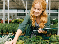 Сотрудники Россельхознадзора выявили в Воронежской области продажу опасных семян