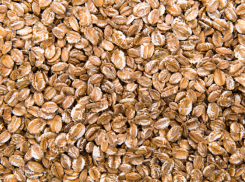 Аграрии Воронежской области собрали 3 млн тонн зерна