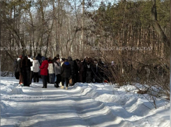 В воронежские колледжи массово разослали сообщения о минировании
