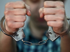 В Воронежской области после вспышки сибирской язвы под следствием оказались шесть человек