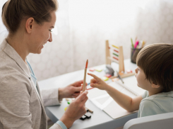 В Воронежской области до конца года заработают комиссии по защите учителей