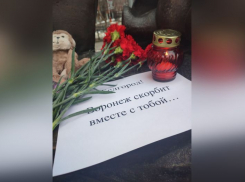 Праздничные новогодние программы отменены по всей Воронежской области
