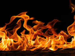 При пожаре в аннинском селе Мосоловка погибла 88-летняя женщина