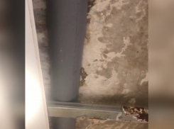 В таловском селе трёхэтажка начала тонуть из-за отложенного капремонта