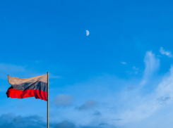 В Воронежской области на выборах проголосовали более 40%