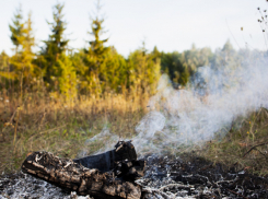 В Воронежской области установился V класс пожарной опасности
