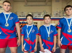 Таловские самбисты завоевали 5 золотых медалей на домашних соревнованиях