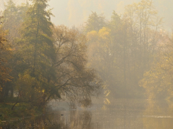 Воронежскую область вновь накроет туман