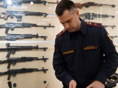 В Воронежской области росгвардейцы изъяли 18 единиц оружия