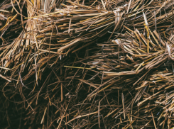 В Таловском посёлке в пожаре сгорели 2,5 тонны сена