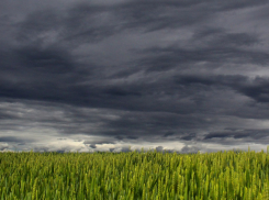 Жителей Воронежской области предупреждают о сильном ветре, грозах и тумане