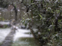 В Воронежской области потеплеет до +5 градусов