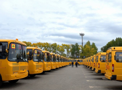 Воронежская область получила 76 новых школьных автобусов