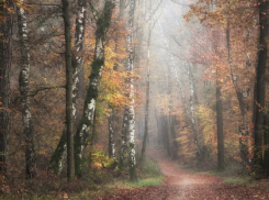 В октябре в Воронежской области семь пропавших без вести нашли мертвыми