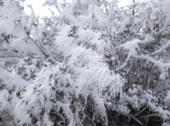 В Воронежской области объявили штормовое предупреждение из-за аномальных холодов