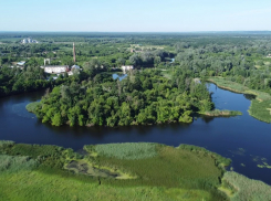 В Таловском и Аннинском районах найдены незаконно приватизированные участки