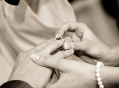 В Воронежской области на масленичной неделе поженились 239 пар