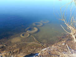В Воронежской области Росприроднадзор проверил речные водоохранные зоны