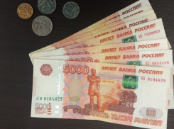 В Воронежской области определили прожиточный минимум в 2026 году