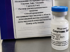 В Воронежской области еще не завершилась вакцинация, но уже готовятся к ревакцинации 