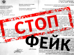 Жителей Воронежской области предупредили о фейковой угрозе холеры