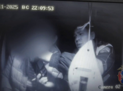 В Эртильском районе госавтоинспекторы задержали пьяную мать с детьми в машине