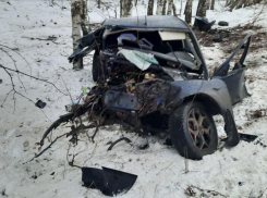 В Эртильском районе автомобиль врезался в дерево