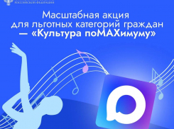 Жители Воронежской области смогут бесплатно посетить культурные события с помощью мессенджера MAX